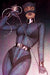 Catwoman #41