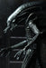 Alien - “Big Chap” - Ultimate Collection