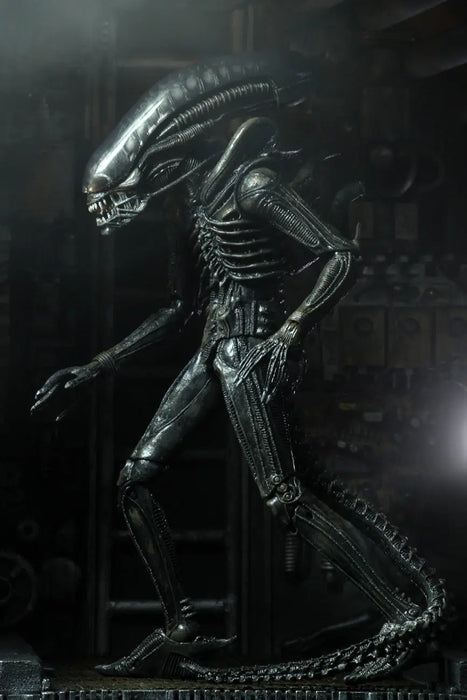 Alien - “Big Chap” - Ultimate Collection