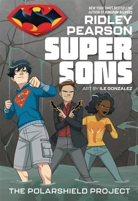 Super Sons: The Polarshield Project