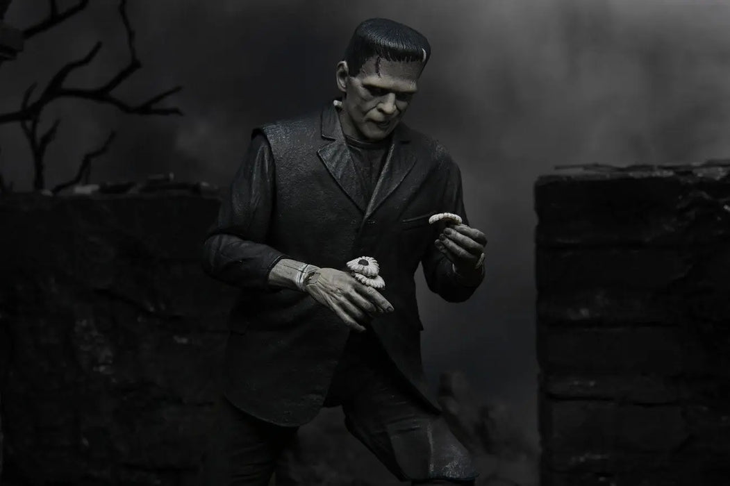 Ultimate Frankenstein's Monster - B&W